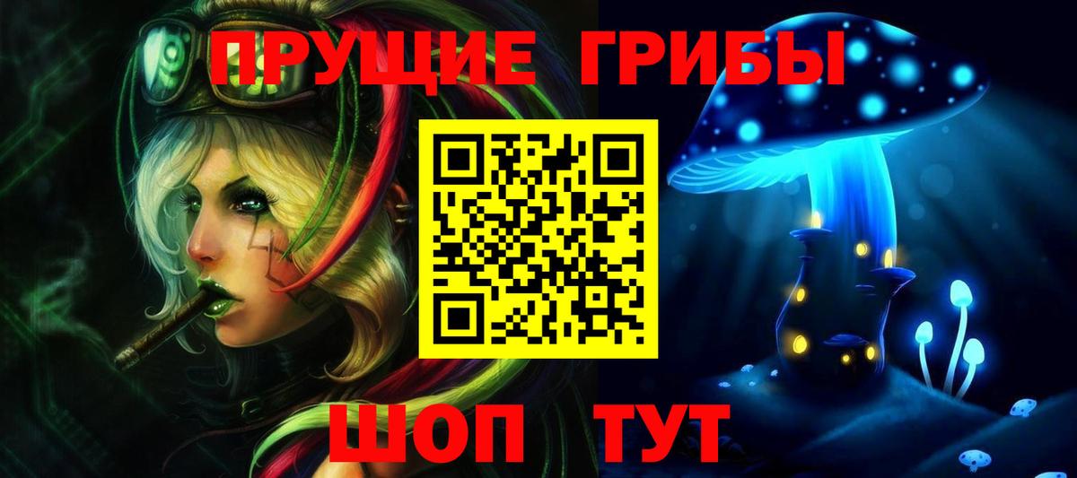 Галлюциногенные грибы Cubensis  Вход с VPN  Саратов 