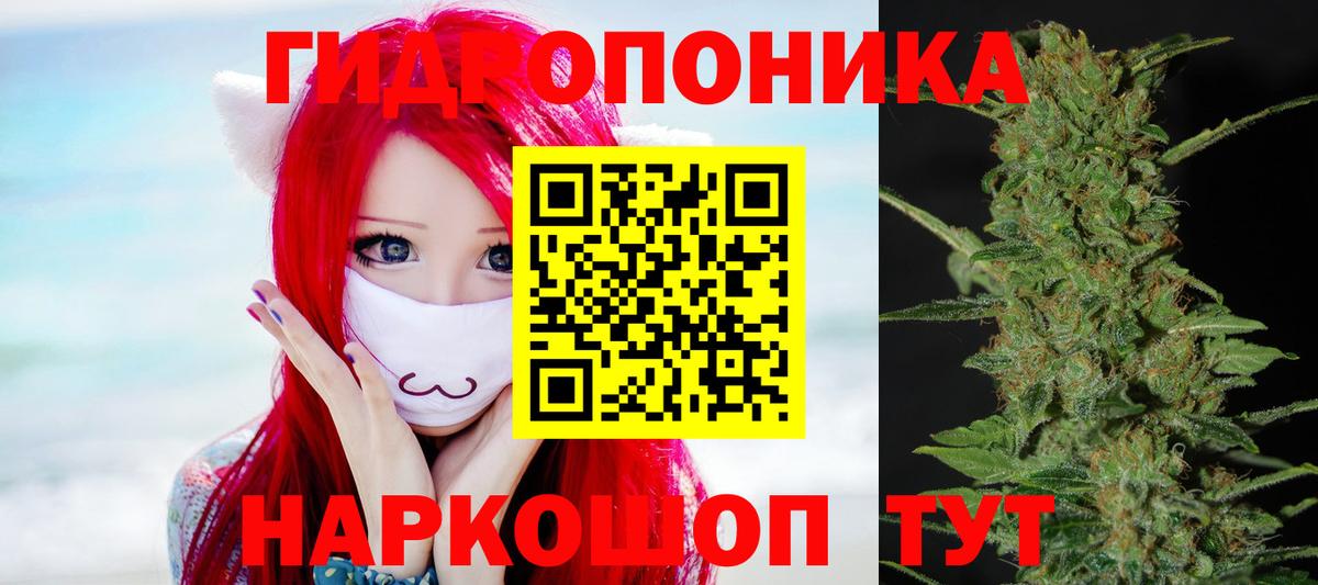 Каннабис SATIVA & INDICA Саратов